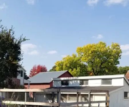 Frontier Restoration