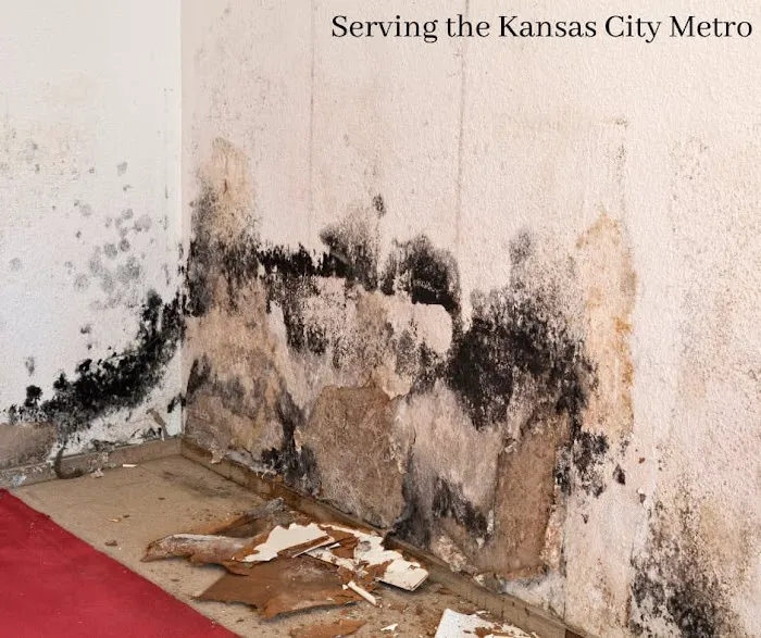 Cobra Water Damage Repair Picture 1