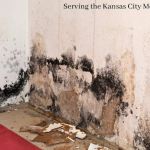 Cobra Water Damage Repair