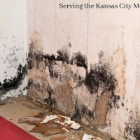 Cobra Water Damage Repair ico