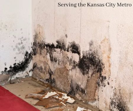 Cobra Water Damage Repair