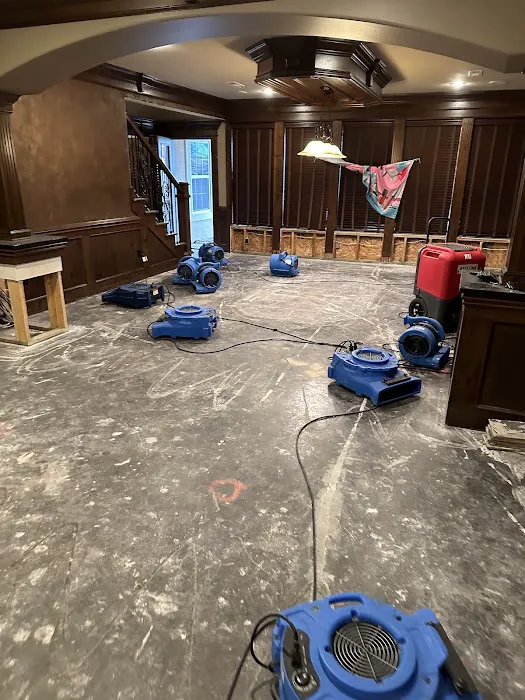 Fine Restoration - Lee's Summit Picture 1