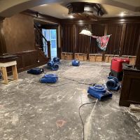 Fine Restoration - Lee's Summit ico