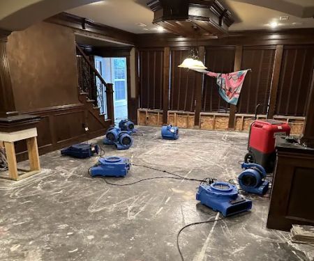 Fine Restoration - Lee's Summit