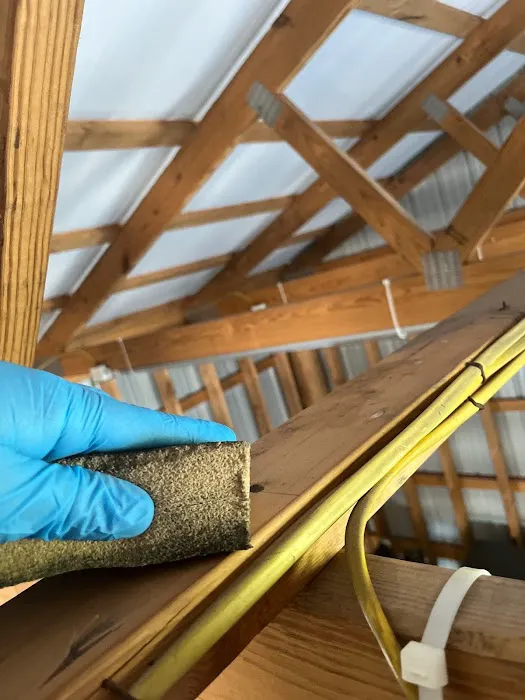 Fine Restoration - Lee's Summit Picture 3