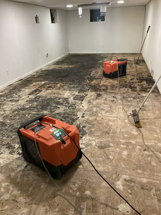 Fine Restoration - Lee's Summit Picture 4