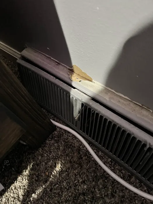 Stanley Steemer Picture 4