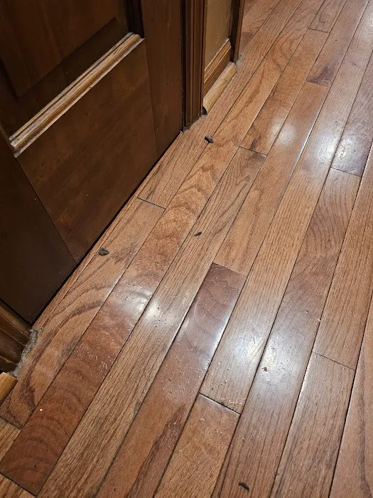 Stanley Steemer Picture 5