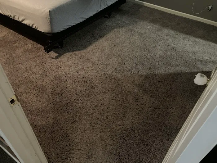 Stanley Steemer Picture 10