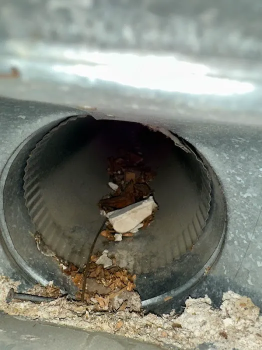 Stanley Steemer Picture 6