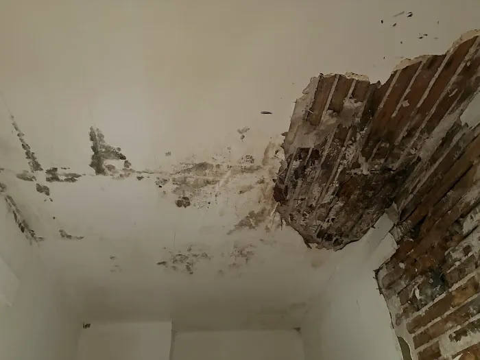 Genesis Healthy Homes Picture 1