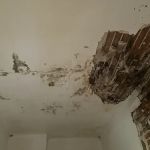 Genesis Healthy Homes