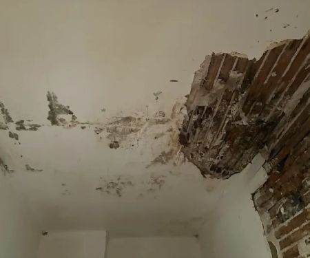 Genesis Healthy Homes