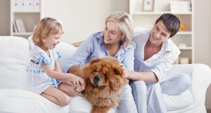 Genesis Healthy Homes Picture 2