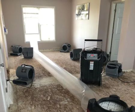 DRYmedic Restoration Services of Kansas City