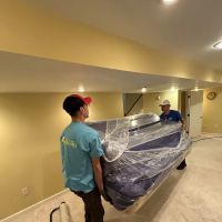 Blue Kangaroo Packoutz of KCK ico