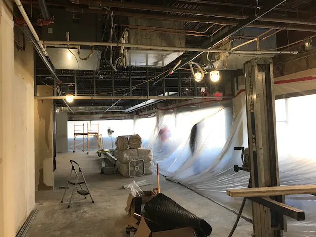 Certified Water and Mold Picture 6