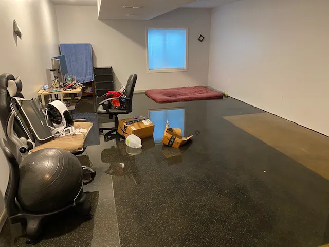 Certified Water and Mold Picture 4