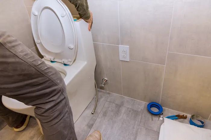 Blue Valley Restoration Picture 2