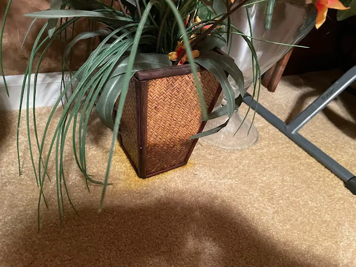 PuroClean Property Restoration Services Picture 8