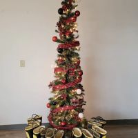 PuroClean Property Restoration Services ico