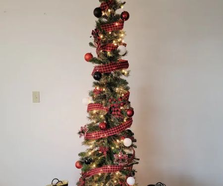 PuroClean Property Restoration Services