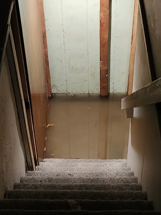 Roto-Rooter Plumbing & Water Cleanup Picture 1