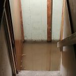 Roto-Rooter Plumbing & Water Cleanup