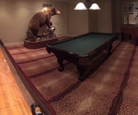 All Dimensions Floor Care