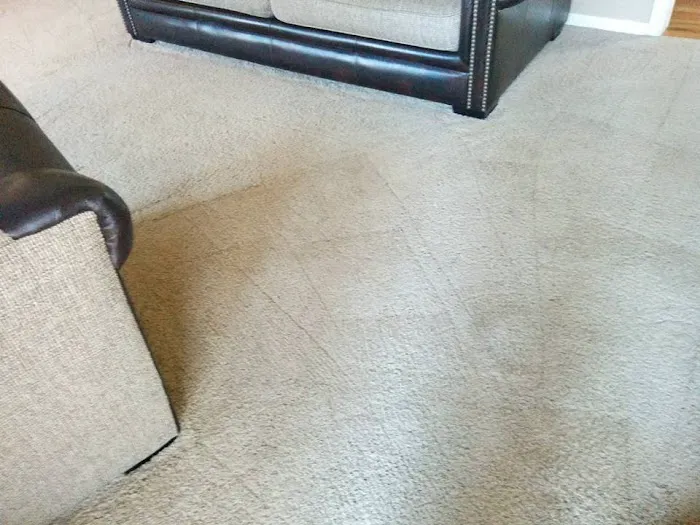 All Dimensions Floor Care Picture 7