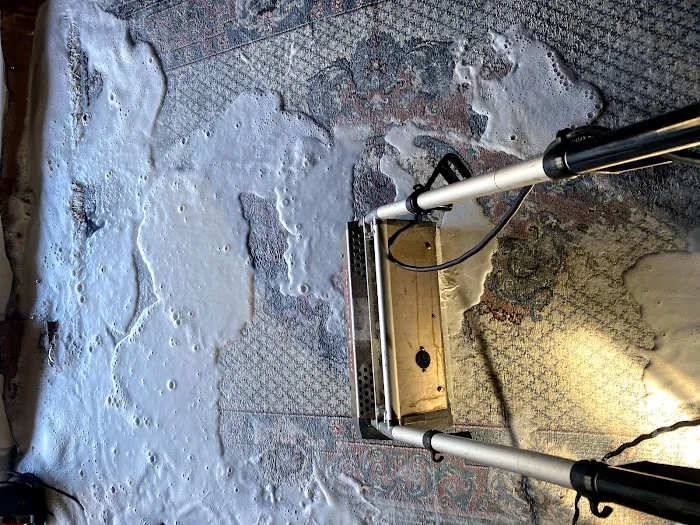 COIT Cleaning & Restoration Picture 4