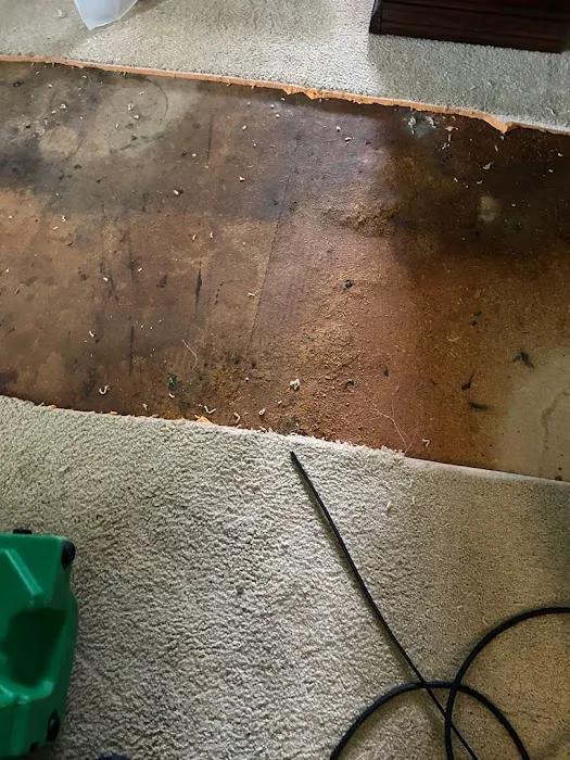 SERVPRO of Olathe / Lenexa Picture 4