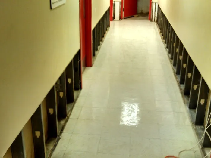 The Mold Pros, LLC Picture 4