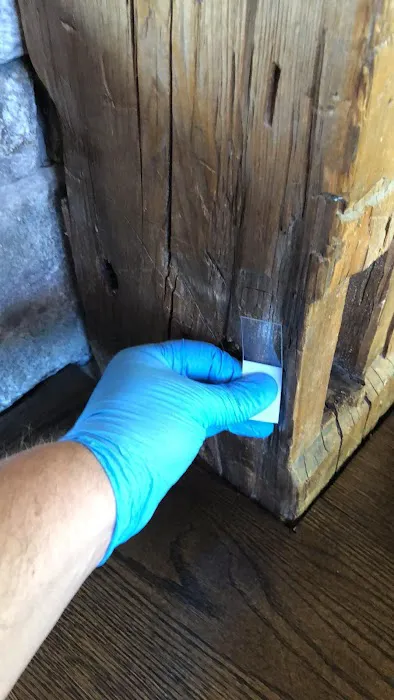 The Mold Pros, LLC Picture 3