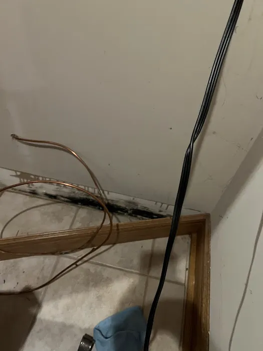 The Mold Pros, LLC Picture 1