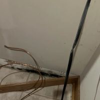 The Mold Pros, LLC ico