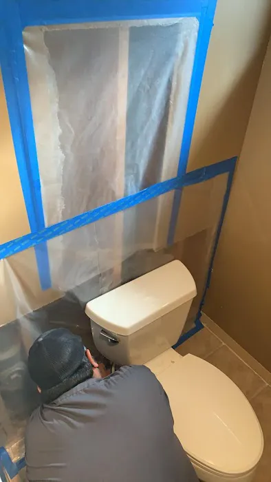 The Mold Pros, LLC Picture 10