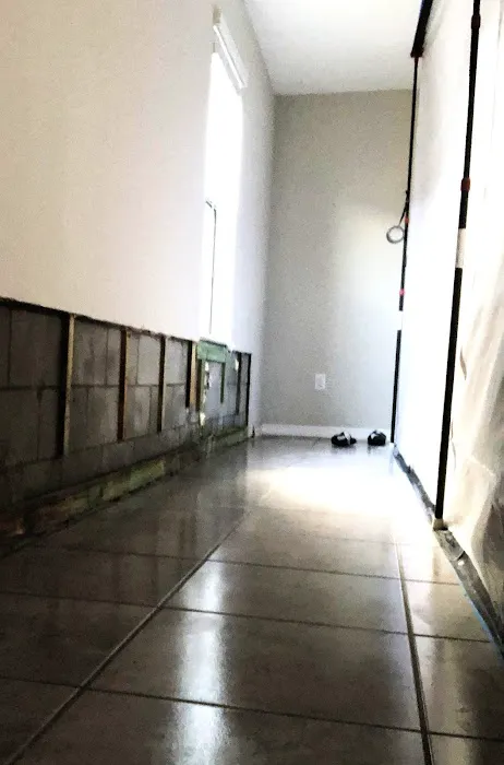 The Mold Pros, LLC Picture 7