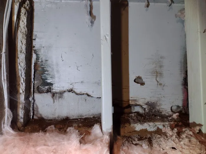 PuroClean of Olathe Picture 10