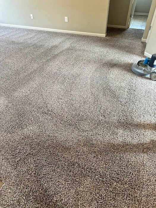 Enviro-Dry Cleaning and Restoration Picture 7