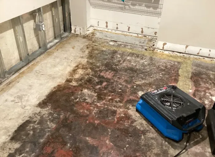 ABC Environmental Contracting Services Picture 2