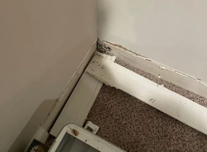 ABC Environmental Contracting Services Picture 6