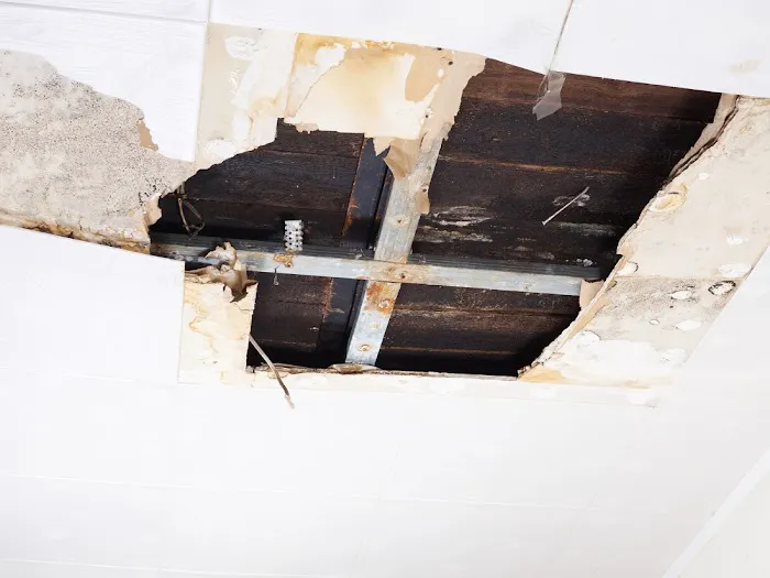 Revive Water Damage Restoration of Miami Picture 8