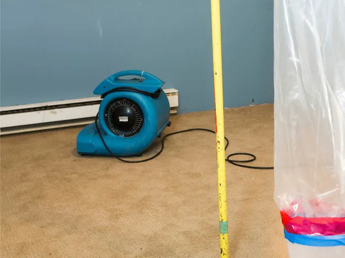 Revive Water Damage Restoration of Miami Picture 3