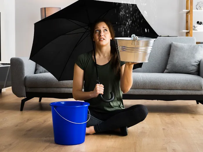 Revive Water Damage Restoration of Miami Picture 4