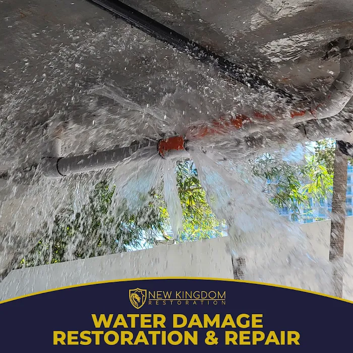 New Kingdom Restoration | Water Damage Restoration | Mold Remediation | Mold Testing Picture 8