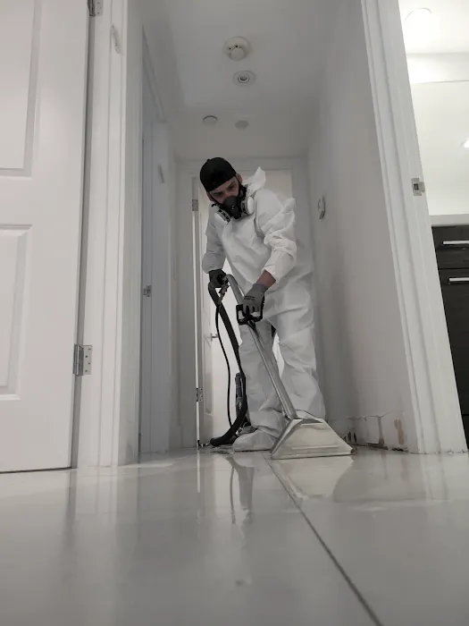 New Kingdom Restoration | Water Damage Restoration | Mold Remediation | Mold Testing Picture 9