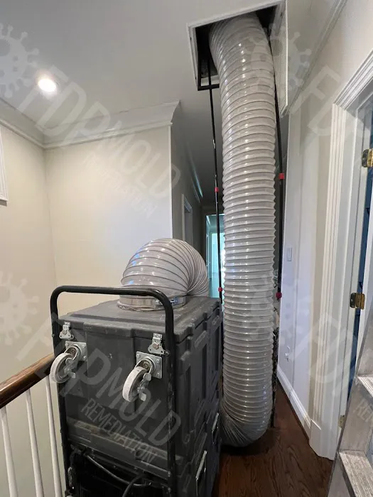 FDP Mold Remediation of Miami Picture 7