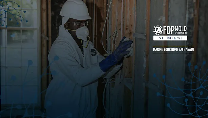 FDP Mold Remediation of Miami Picture 1