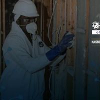 FDP Mold Remediation of Miami ico